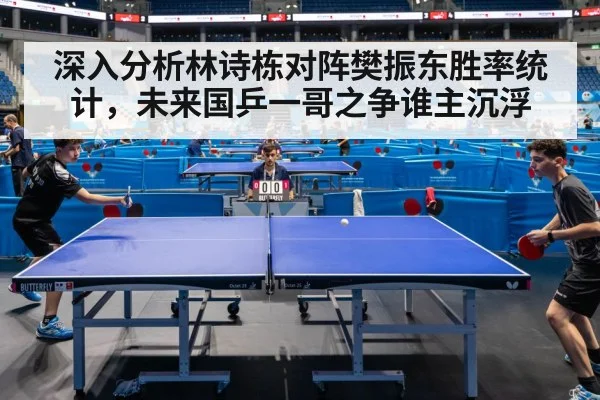 深入分析林诗栋对阵樊振东胜率统计,未来国乒一哥之争谁主沉浮