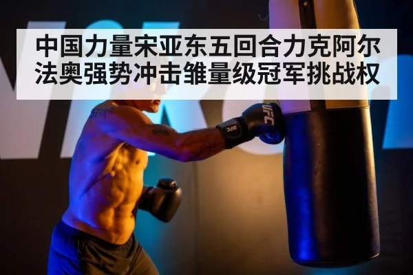 中国力量宋亚东五回合力克阿尔法奥强势冲击雏量级冠军挑战权