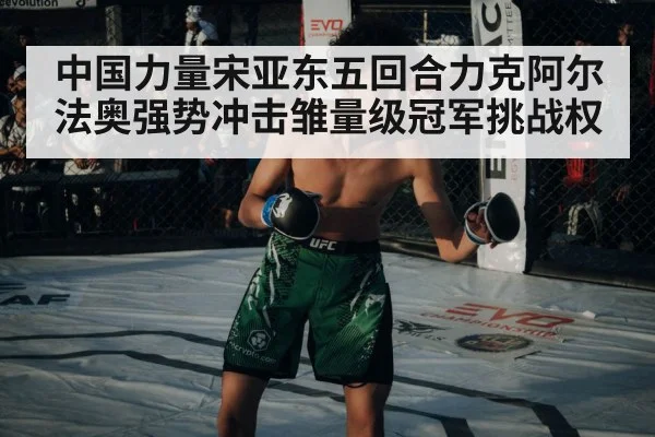 UFC MMA match